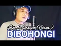 Lagu DIBOHONGI - MANSYUR S - IBHA HIDAYAT (Cover)