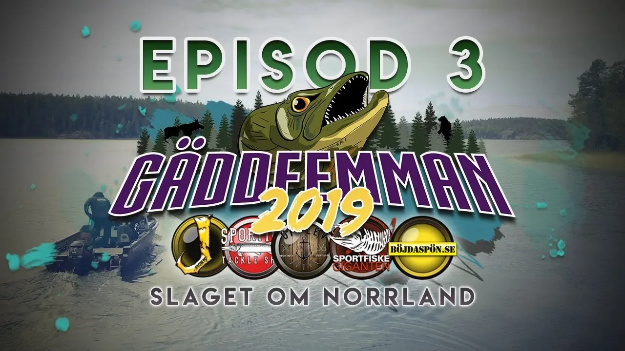 video Gäddfemman 2019