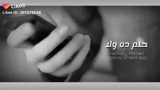 اهدى يقلبي اهدى واستنى حلم دا ولا ولا دي الرنة دندنها