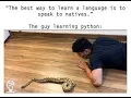 Python Crash Course 3rd Edition Chapter Seven
