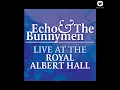 Never Stop (Live at Royal Albert Hall 1984)