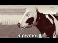 NEW HIGH DEFINITION VIDEO NEW HIGHG QUALITY VIDEO - 13 La Vaca Lola Cow Sound variations