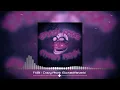 Download Lagu FXBII - Crazy Phonk (Slowed + Reverb)