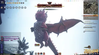 GET NOW YOUNG CRIMSON DRAGON PET - BLACK DESERT ONLINE