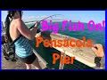 Big Fish On at the Pensacola Pier