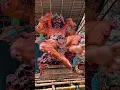 Download Lagu Ogoh Ogoh GWK Festival #shortvideo #ogohogoh2023 #ogohogohviral #ogohogohbadung