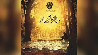                 تايه                              دندنها