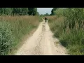 Forest Swords - Crow