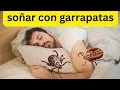 Que Significa Sonar Con Garrapatas