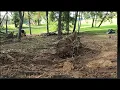 Struck MH4900 Playing In The Woods