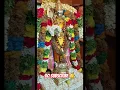 Download Lagu OM MURUGA/ #song #devotionalsongs #muruganslogasmanthras #musicstyle #tamil #sivaya