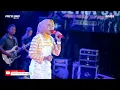 Download Lagu PAEYLAND MUSIC - HARTA AMANAH TUHAN - RIZA PALUPI - WEDDING DEDI \u0026 DINA - TENGGULI
