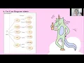 Tugas Presentasi Kelompok 1 PSBO Diagram UML Project Program Jasa Angkut Barang SIMPLE MOVE