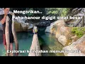 Download Lagu Kejadian Mengerikan!! Sungai Viral Dihuni Sidat Monster Jelajah Tempat Terindah Sungai Nyarai Sumbar