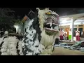 MACAN TURUN GUNUNG CARI MAKAN | JAMIATUL HADRAH NURUL YAQIN | VOC. AHMAD SHALEH