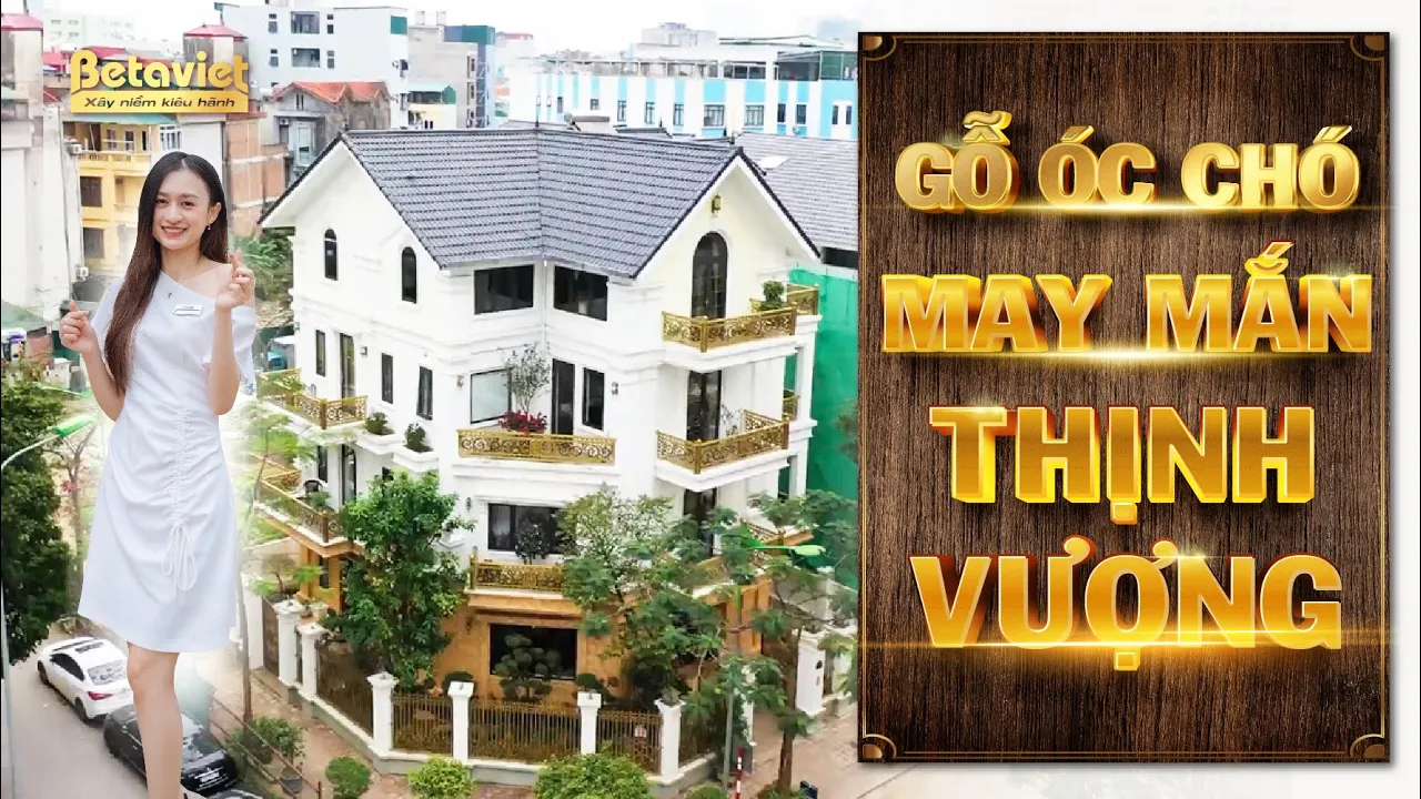 Siêu biệt thự tân cổ điển và nội thất gỗ Óc chó tiền tỷ KĐT Nam Cường
