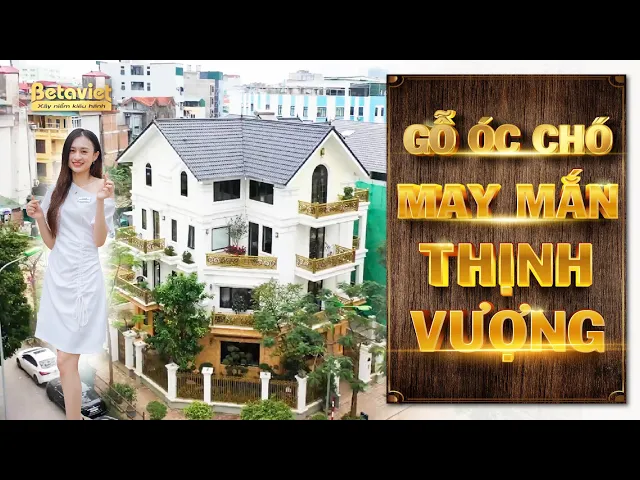 Siêu biệt thự tân cổ điển và nội thất gỗ Óc chó tiền tỷ KĐT Nam Cường