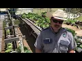 TDCJ Michael Unit Hydroponics Project Inspiring Others Nationwide