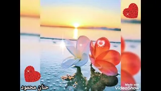 Shorts موسيقى ما بينا ميعاد لعمرو دياب ولحظةهدوء و تأمل 