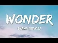 Shawn Mendes - Wonder (Lyrics)