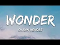 Download Lagu Shawn Mendes - Wonder (Lyrics)