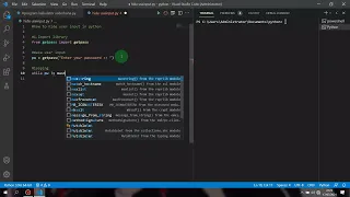 Python Console How to Hide Password Input
