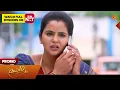 Kayal - Special Promo 13 Aug 2026 Tamil Serial Sun TV