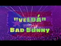 Download Lagu Bad Bunny “ veLDÁ” Omar Courtz ft Dei V #badbunny #omarcourtz  #deiv #conciertobadbunny 
