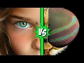 How Flies See the World