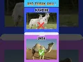 Download Lagu ayo tebak aku part-297  #tebakgambar #edukasi #kuisseru #buah #hewan #edukasianak