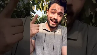 مكنتش صدفة       فارس قطرية                دندنها