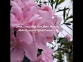 Download Lagu Bismillah  #ayat #alquran #terjemahan #doa #inspiration #kehidupan #dunia #akhirat  #allohumma  amin