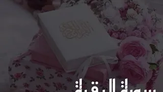 سورة البقرة القارىء أحمد حمادي 