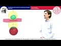 Interactive 4-D Visualization of Stereographic Images From the Double Orthogonal Projection ICGG2020