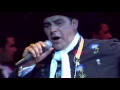 Chaqueño Palavecino - Amor Salvaje