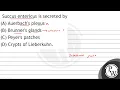 Succus entericus is secreted by A Auerbach s plexus B Brunner s glands C Peyer s patches