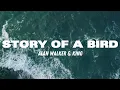 Download Lagu Alan Walker, KING - Story of a Bird (Lyrics) [English Translation]