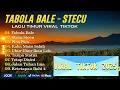 Download Lagu LAGU POP TIMUR VIRAL  TIKTOK 2025‎TABOLA BALE - Jacson, Juan Reza | STECU -Faris Adam |PICA PICA
