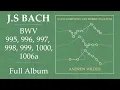 Download Lagu Bach: Complete Lute Works on Guitar (Full Album) – Andrew Wilder