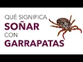 Que significa SONAR con GARRAPATAS Que significado tiene este sueno