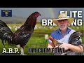 Mr Jim Clem Farm Home of Oregon Black Japs Asils and Mcrae - A Virtual Tour Inside his Elite Farm
