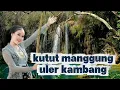 Lagu GENDING JAWA KONCO NGASO.