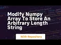 modify numpy array to store an arbitrary length string