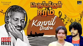 kannil ondru song nerupukkul eeram ilaiyaraaja thiagarajan ambika tamil songs