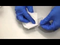 Loading a Hemacytometer for Manual Cell Count