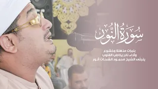 سورة النور بنبرات مذهلة وخشوع وآداء نادر يخاطب القلوب يتجل ى الشيخ محمود الشحات من سمنود  سورة النور بنبرات مذهلة وخشوع وآداء نادر يخاطب القلوب يتجل ى الشيخ محمود الشحات من سمنود