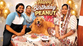 PeaNut's Birthday Celebration 🎂 | The PeaNut Vlogs