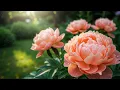 Download Lagu 💖 Нежные мелодии, от которых мурашки по коже 🌿 | Музыка лечит нервную систему и душу