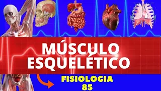 ESTRUTURA DO MÚSCULO ESQUELÉTICO (FISIOLOGIA DE GUYTON) - FISIOLOGIA DA CONTRAÇÃO MUSCULAR