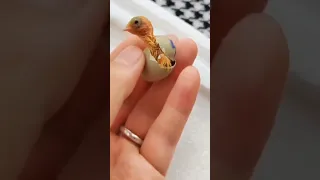 لحظة خروج فرخ كناري من البيضة 